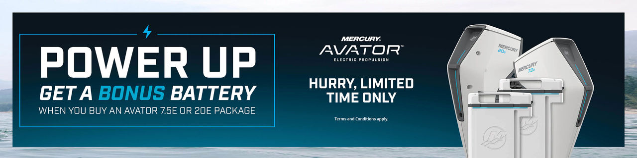 Avator Bonus Battery