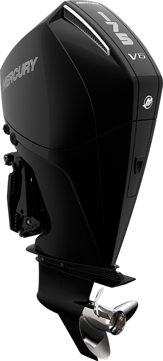 FourStroke 175HP
