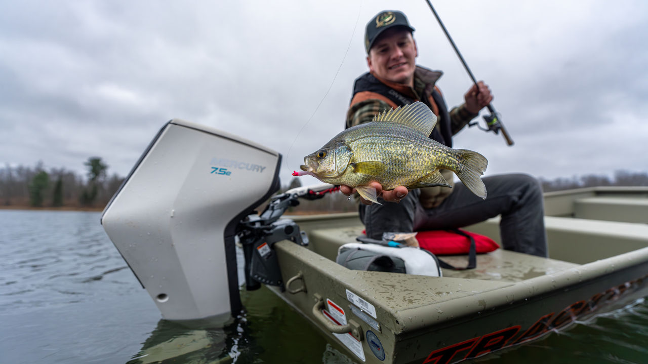 Wired2Fish Avator Fishing