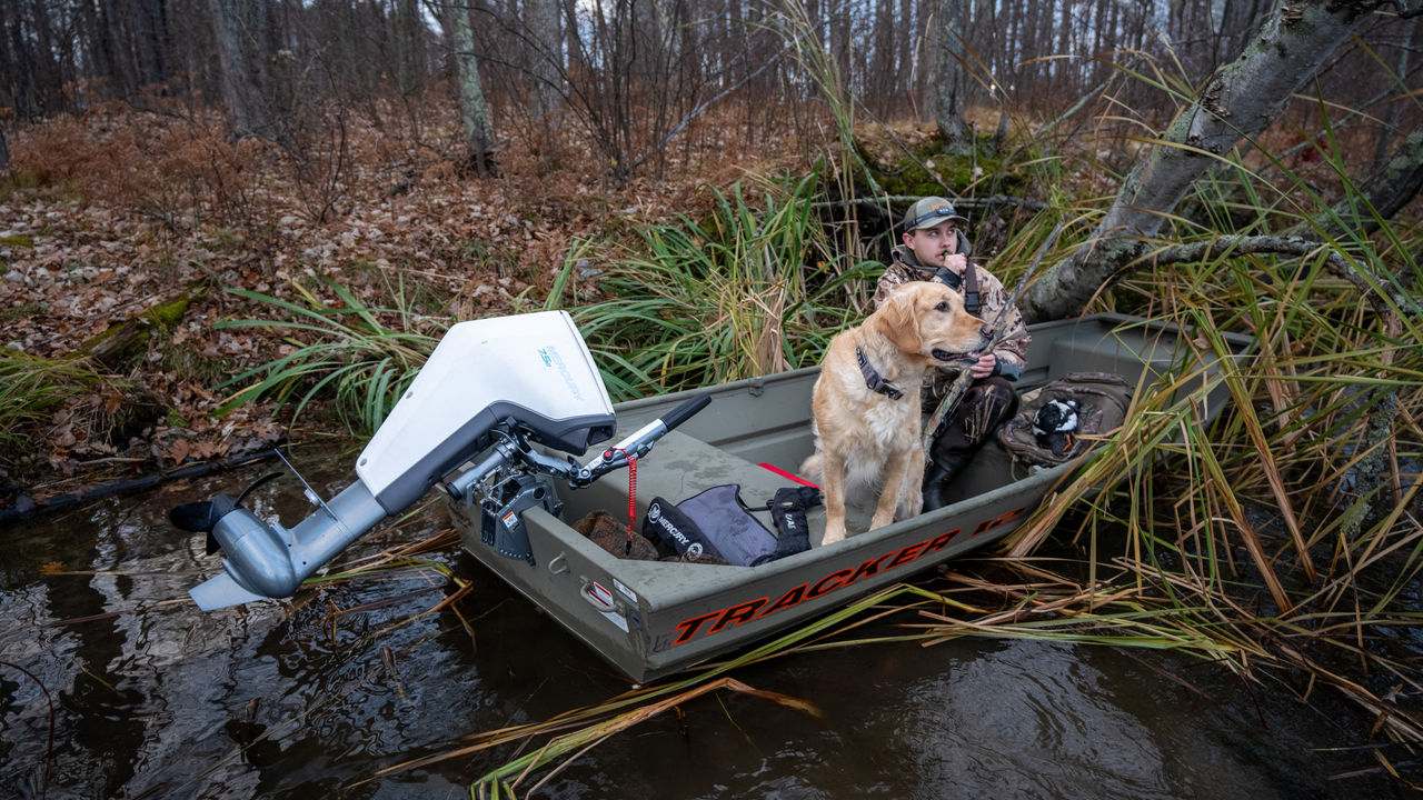 Wired2Fish Avator Hunting