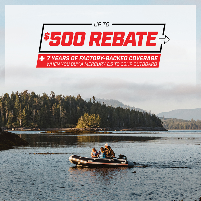 Portables Rebate Promotion